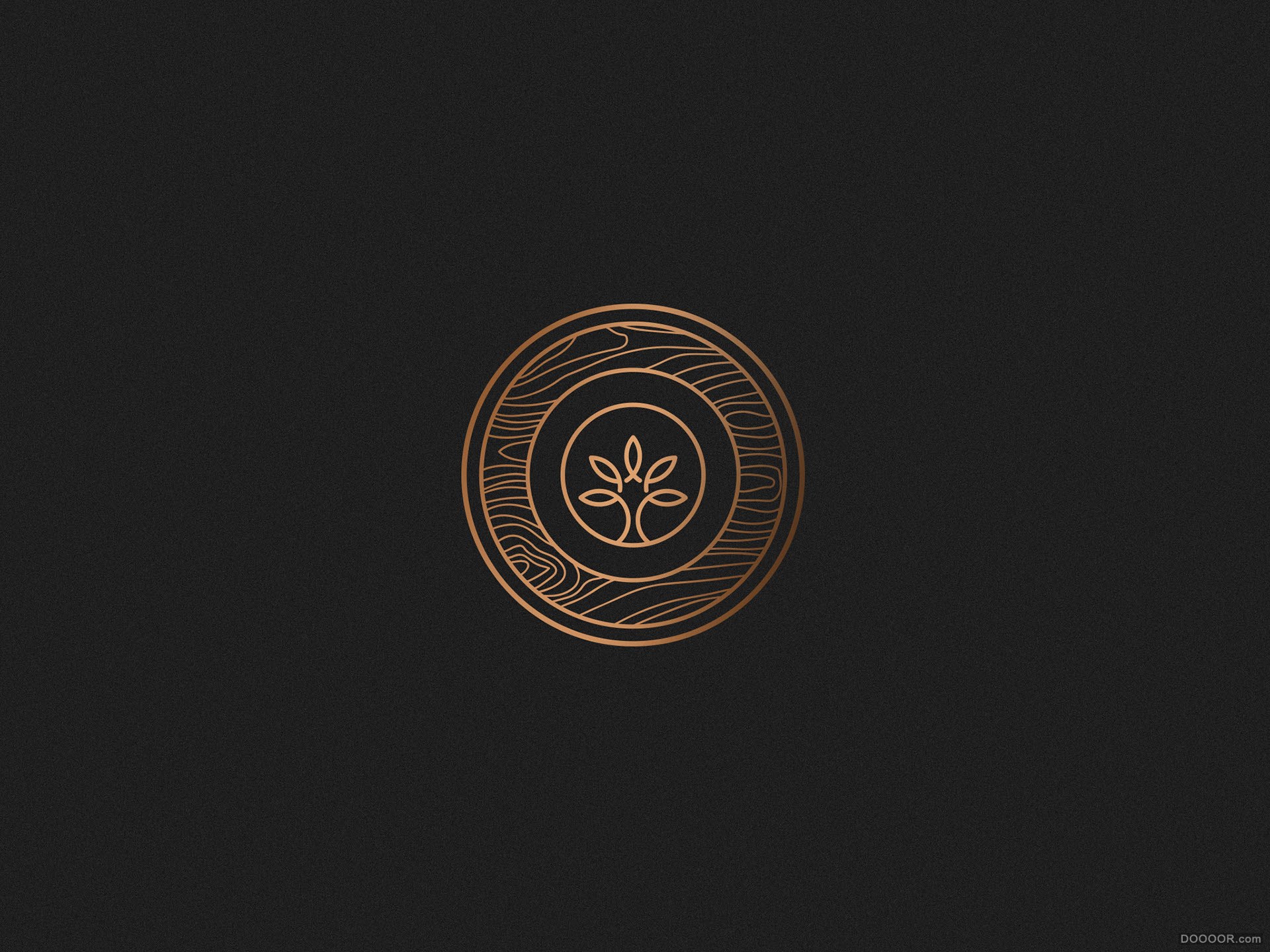 NOGUEIRAS家族核桃树造型餐厅品牌标志设计-葡萄牙BULLSEYE - Aim on branding [20P] (.jpg