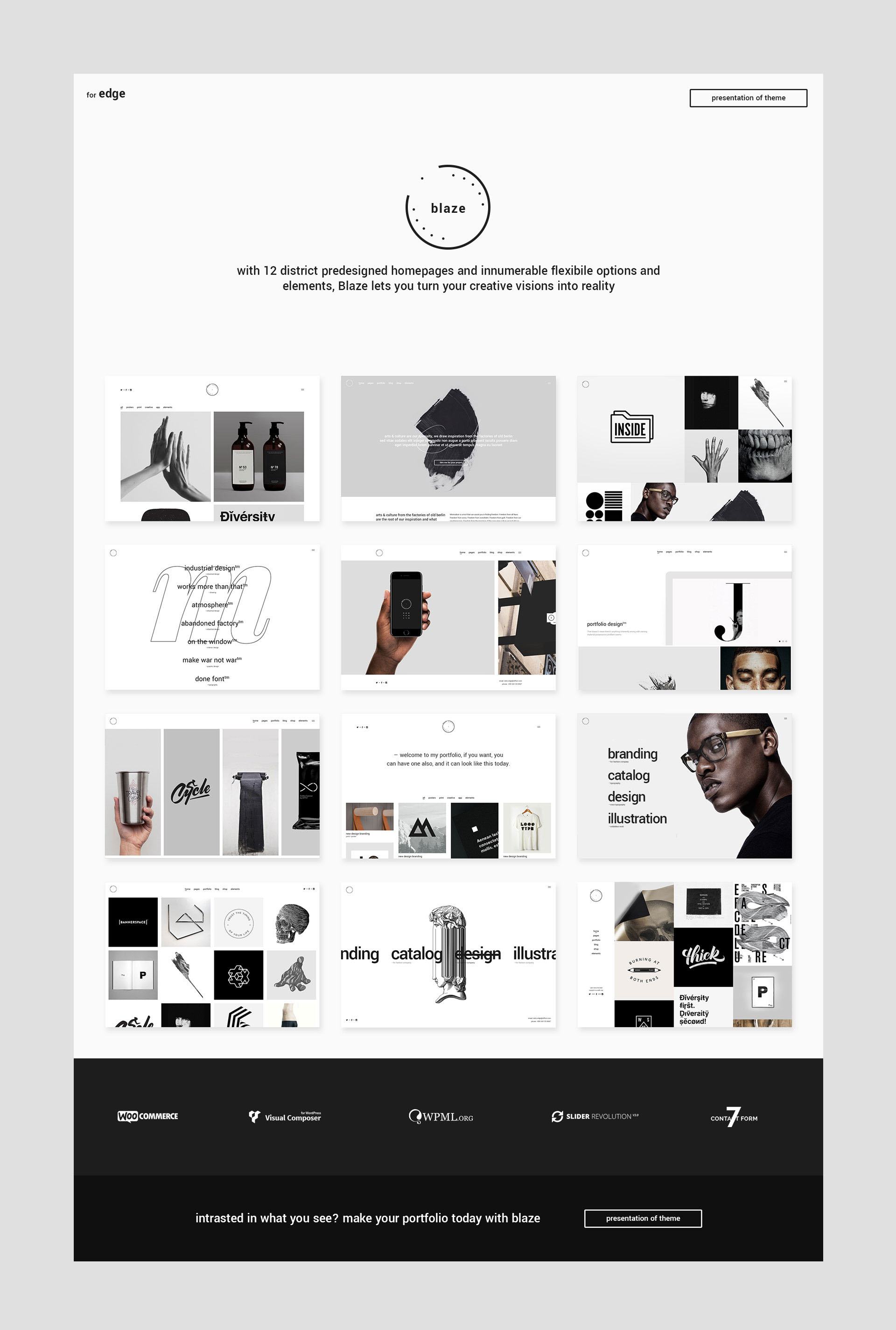 Blaze Web Theme-1.jpg