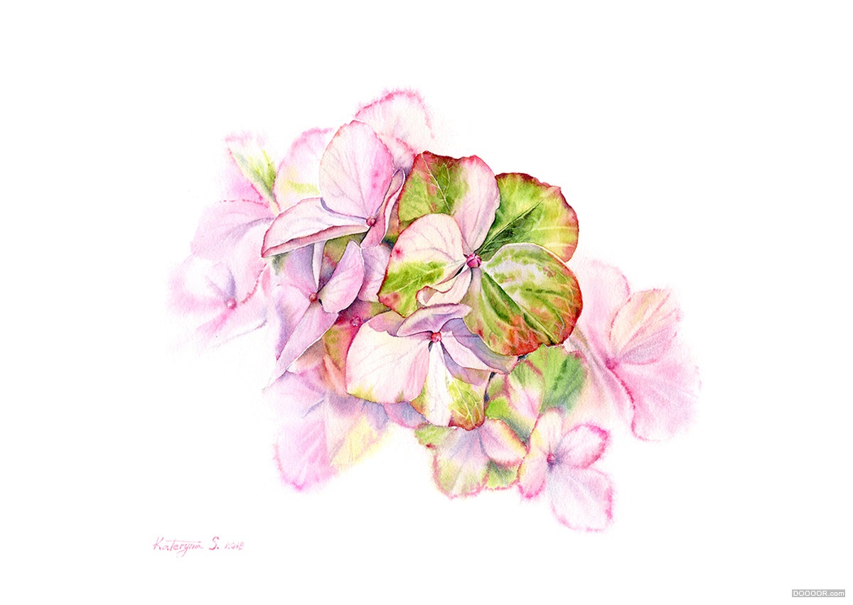 顶级鲜花美食水果手绘插画-挪威Kateryna Savchenko [46P] (15).jpg