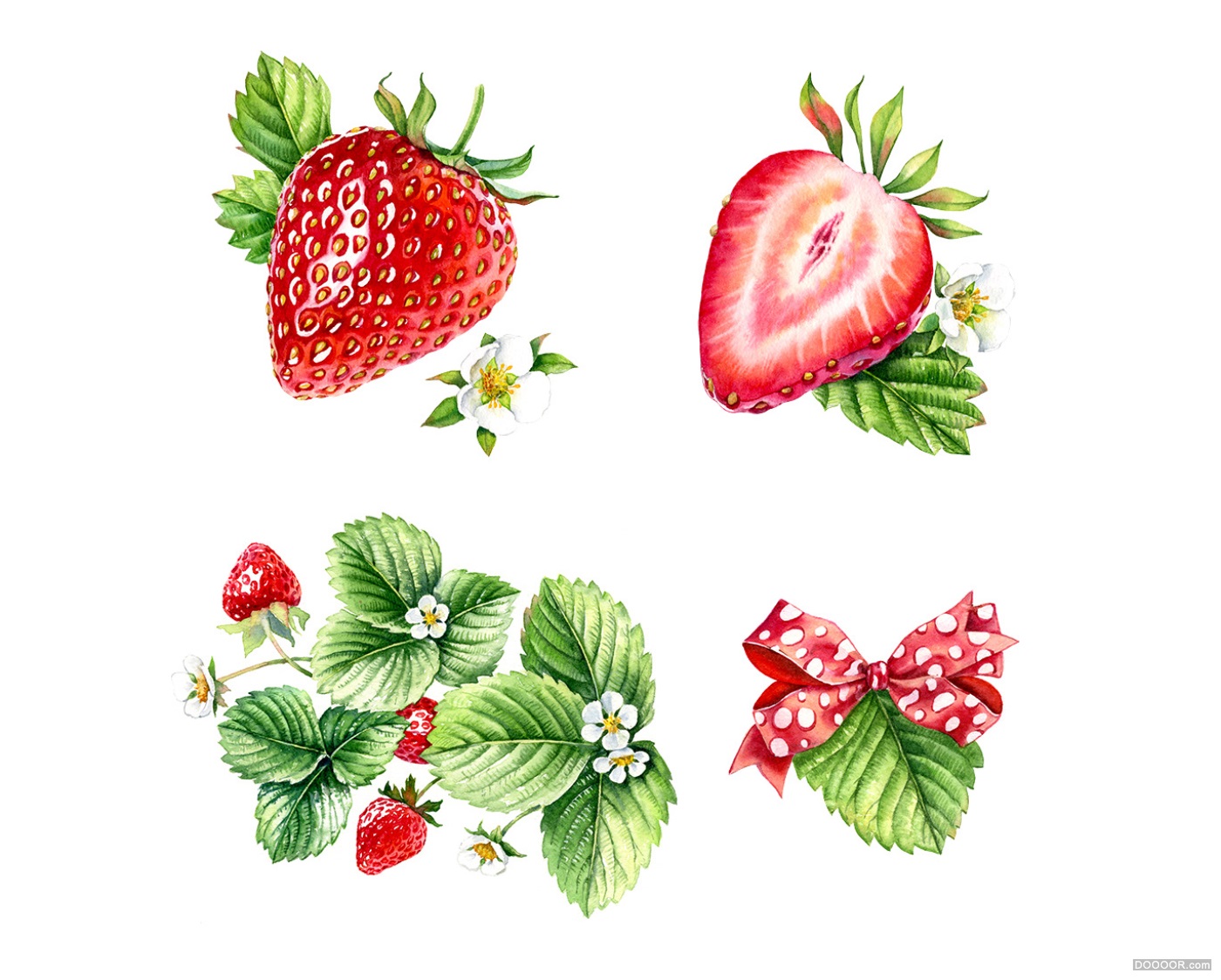 顶级鲜花美食水果手绘插画-挪威Kateryna Savchenko [46P] (19).jpg
