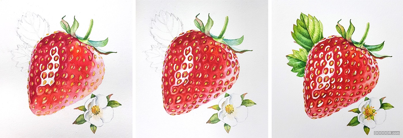 顶级鲜花美食水果手绘插画-挪威Kateryna Savchenko [46P] (20).jpg