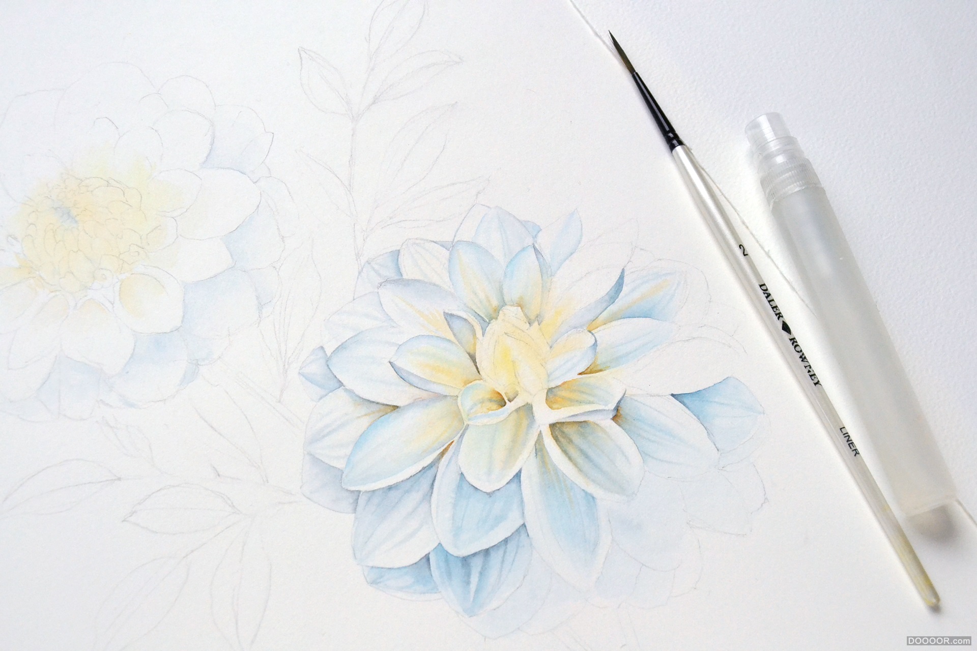 顶级鲜花美食水果手绘插画-挪威Kateryna Savchenko [46P] (23).jpg