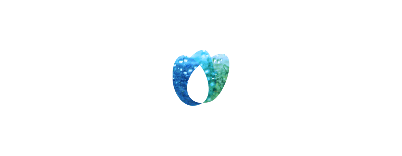 ECOWASH汽车行业LOGO设计-巴西José Augusto Hykavy [19P] 1.gif