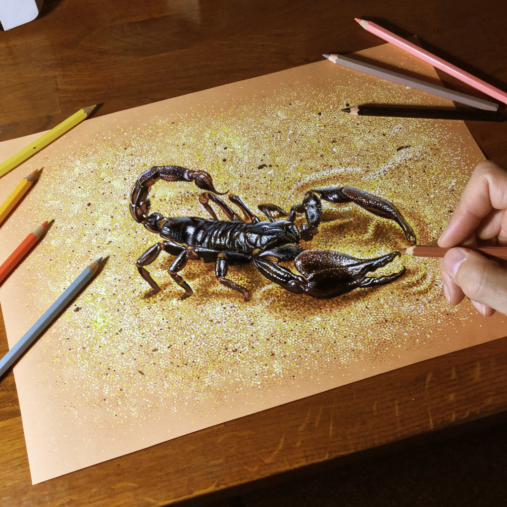 drawing_a_scorpion_by_marcellobarenghi-dbqc1yq.jpg