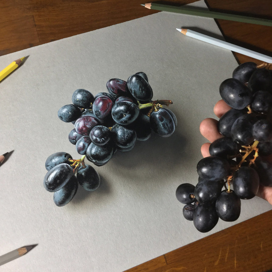 my_drawing_of_black_grapes_by_marcellobarenghi-dbo3itt.jpg