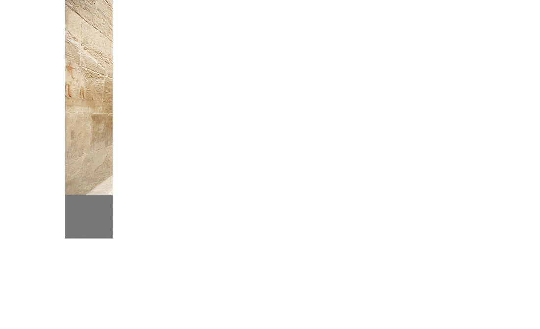 锦依卫学员洋葱.gif