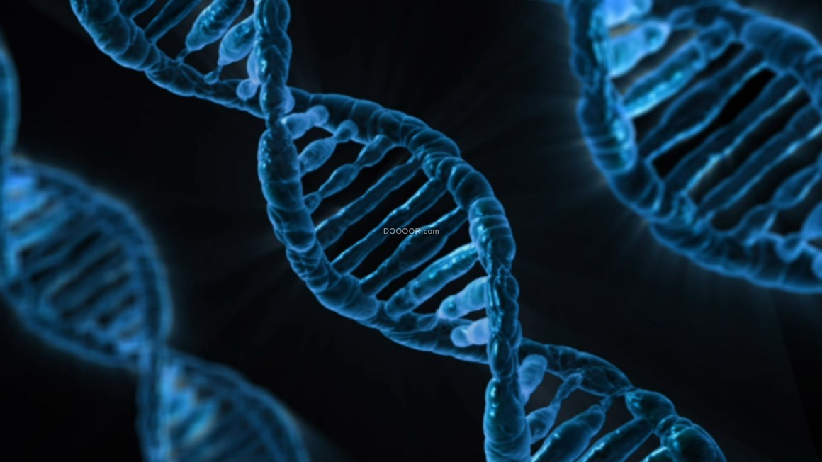 00299_生物遗传因子DNA的影像.jpg