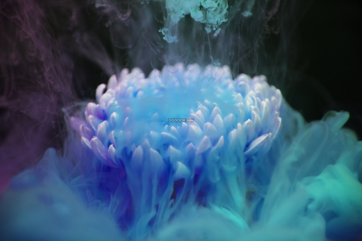 00781_一朵蓝色的花在氤氲的气氛下盛开下宛若仙境.jpg