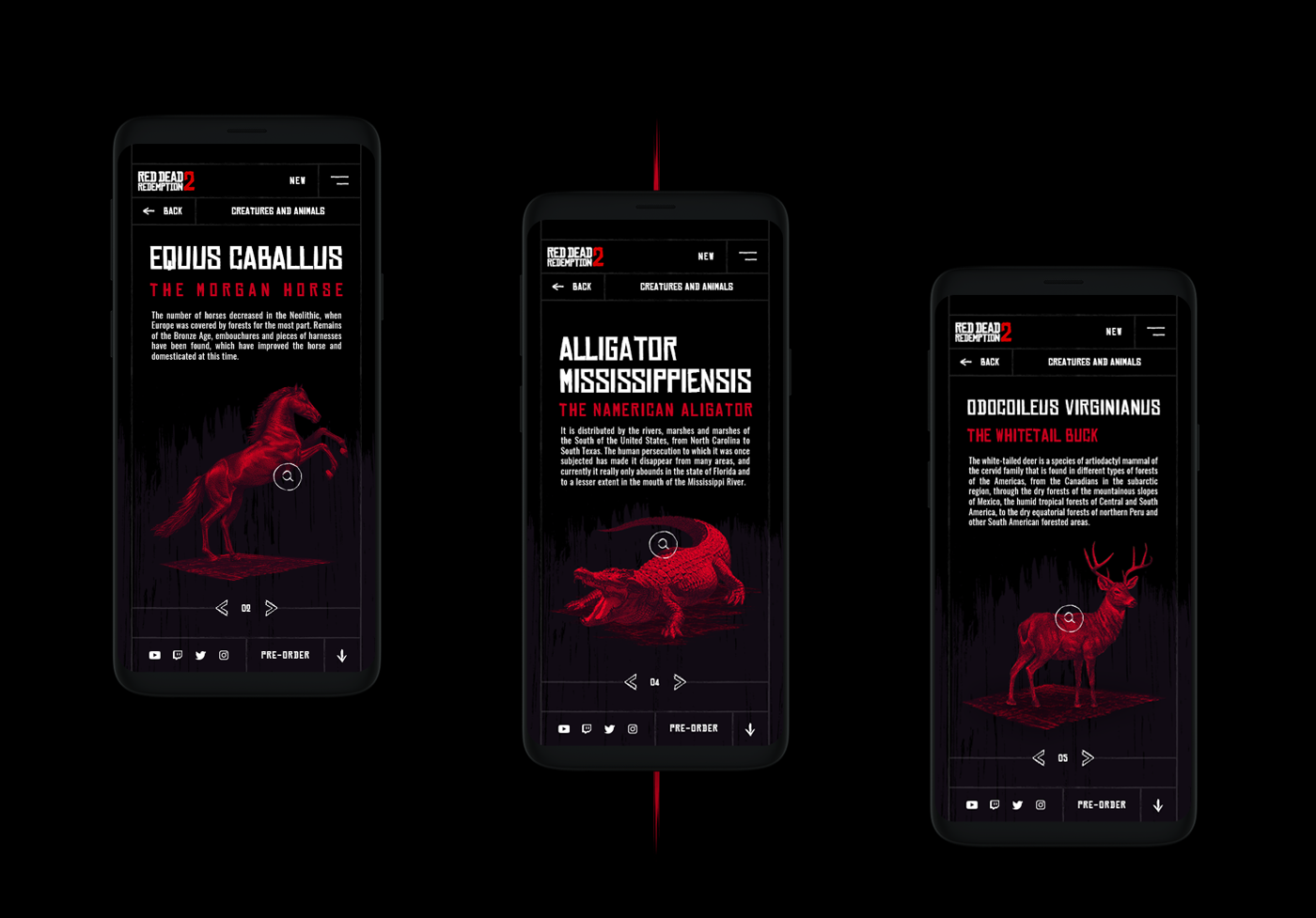 Red Dead Redemption 2 Website -19.png