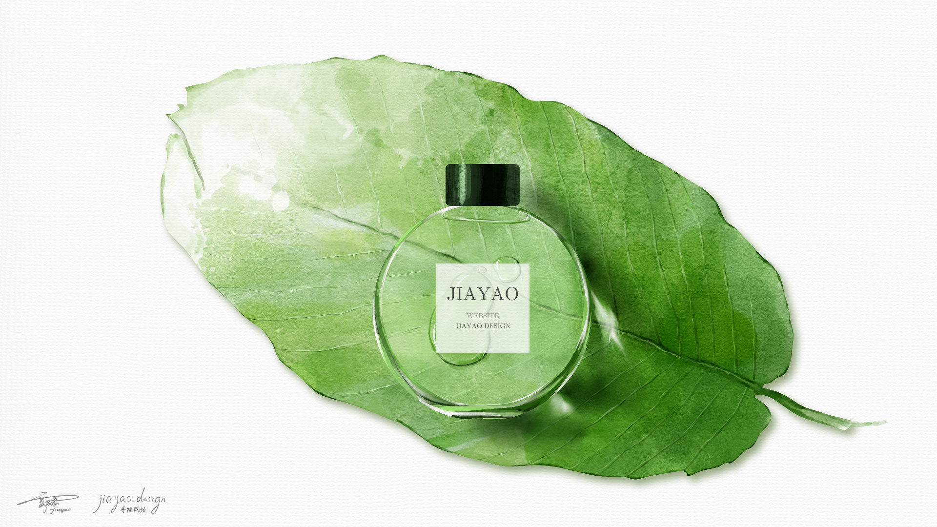 树叶-化妆品-jiayao.design.jpg