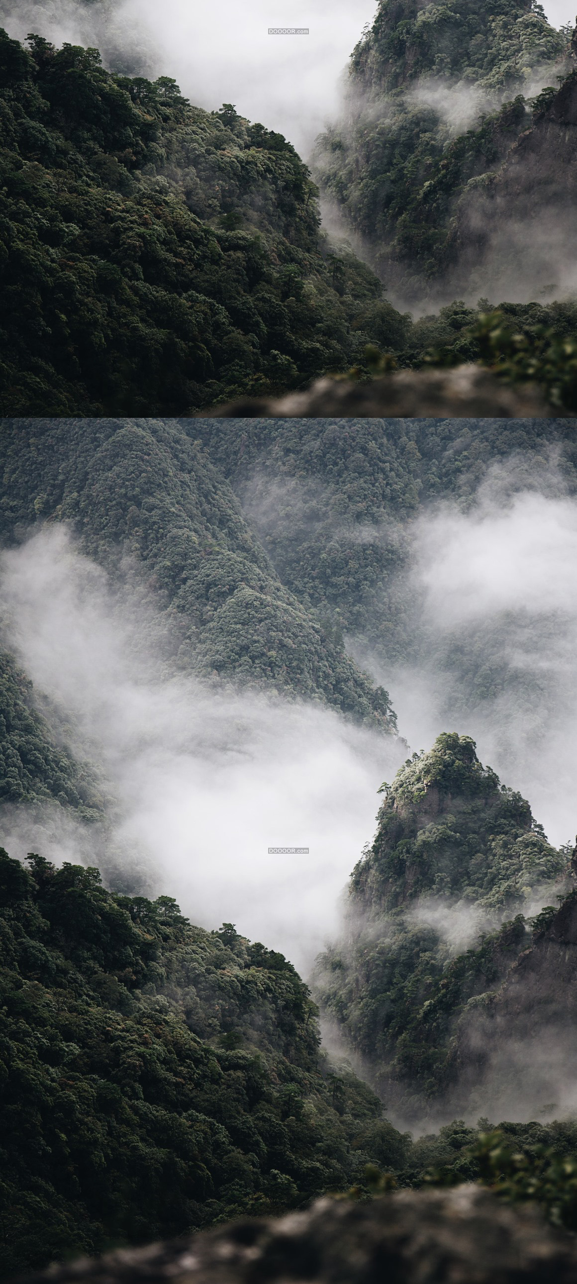 01142_绵延高耸的山脉遍布着树木全部都笼罩在云雾之中.jpg