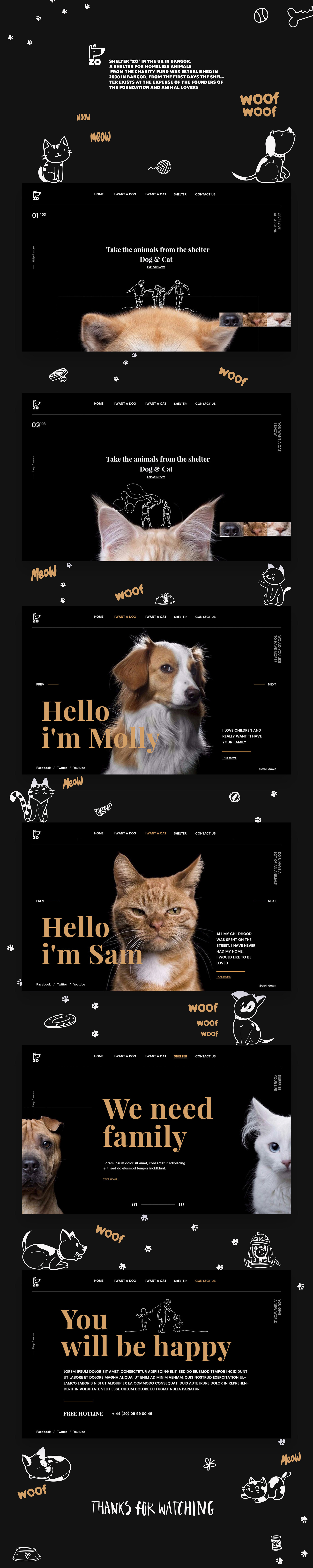 Shelter ZO for homeless cats and dogs.jpg