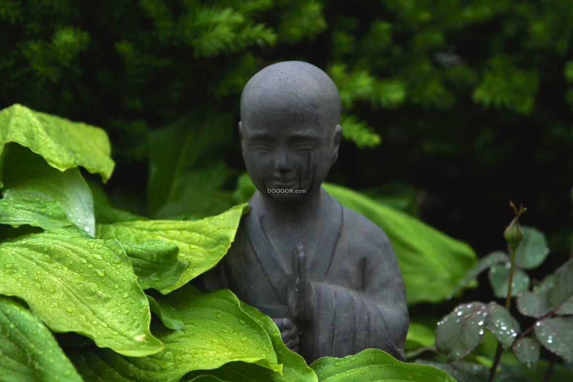 一尊佛像静立在植物中间打坐参禅雨水从天而降落在绿叶和佛像的脸庞上
