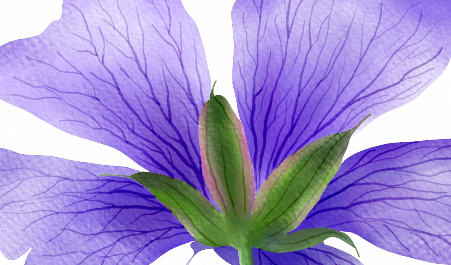细节6.jpg