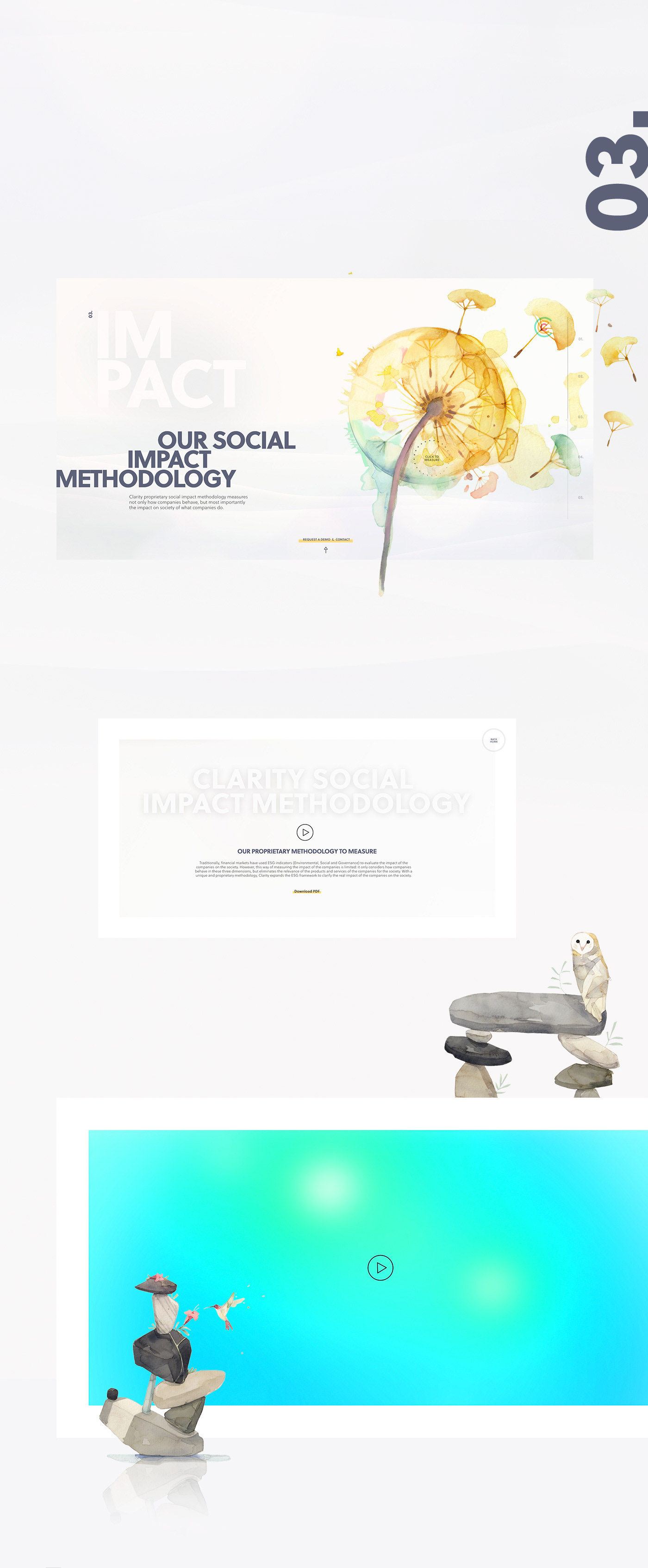 Clarity Web Site-2.jpg