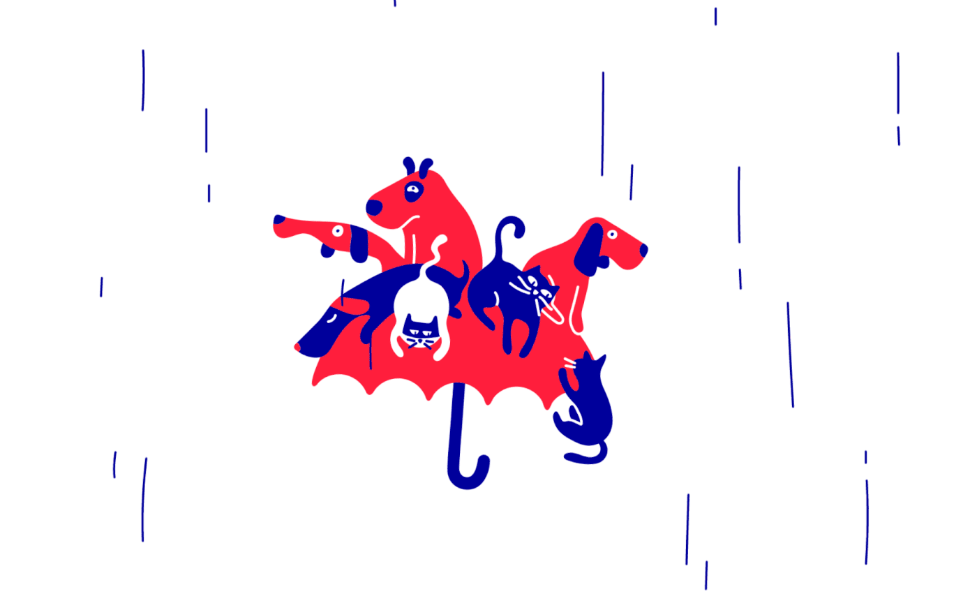 6.gif