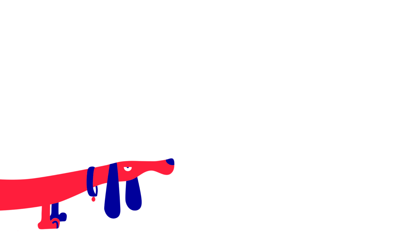 13.gif