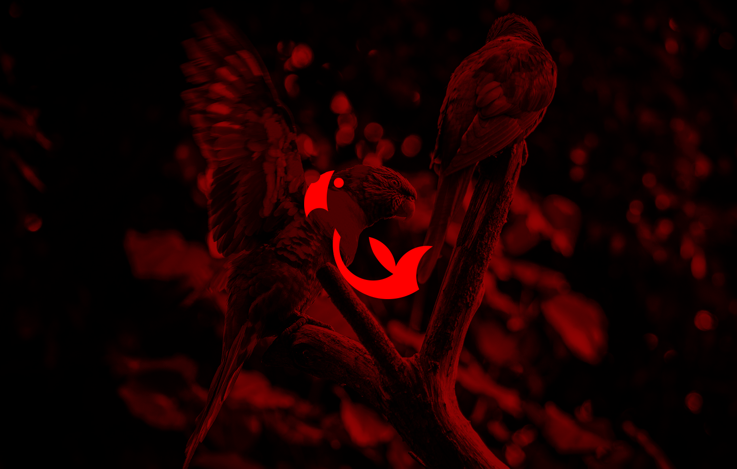 6.png
