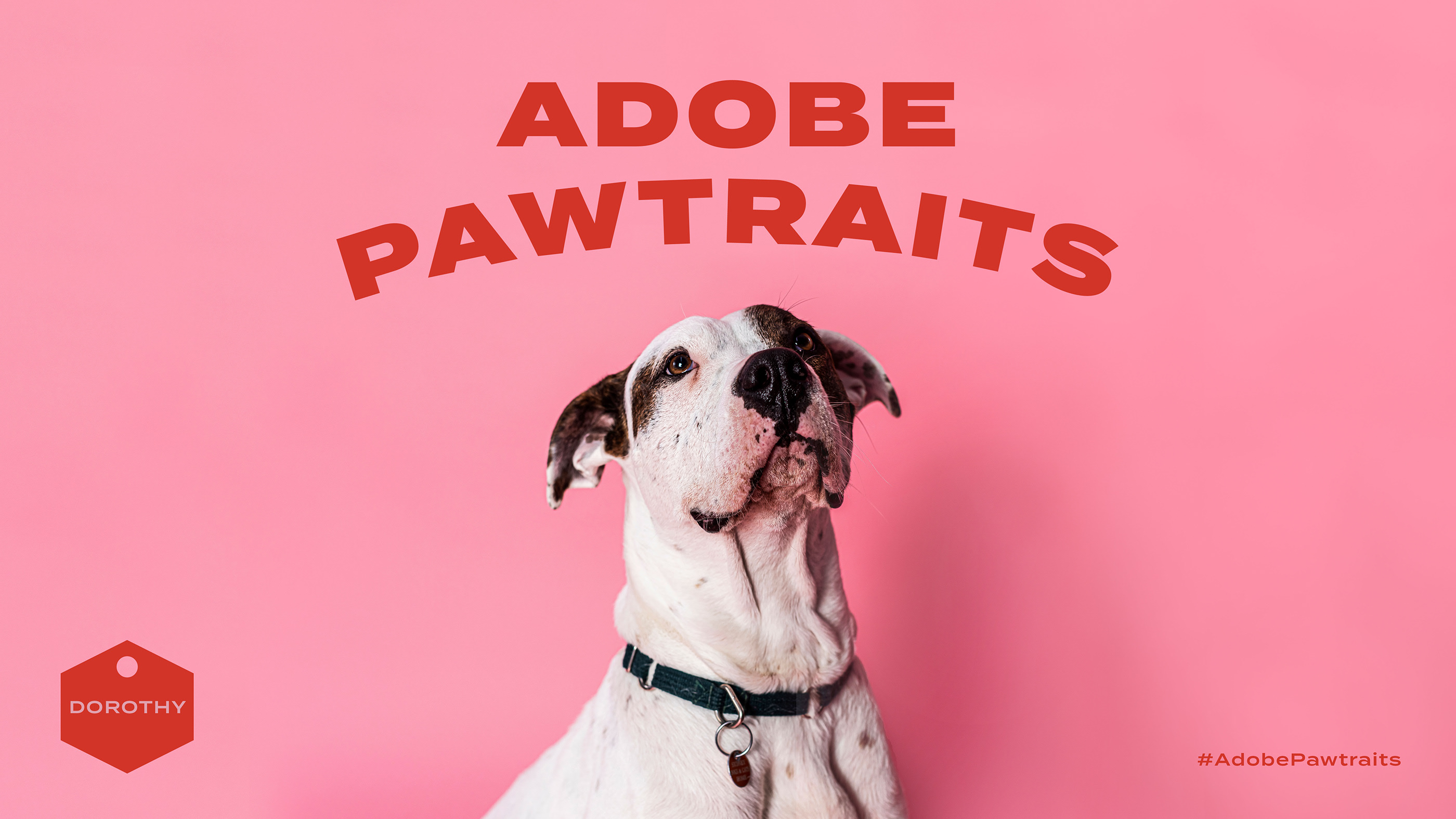 Adobe Pawtraits (1).jpg
