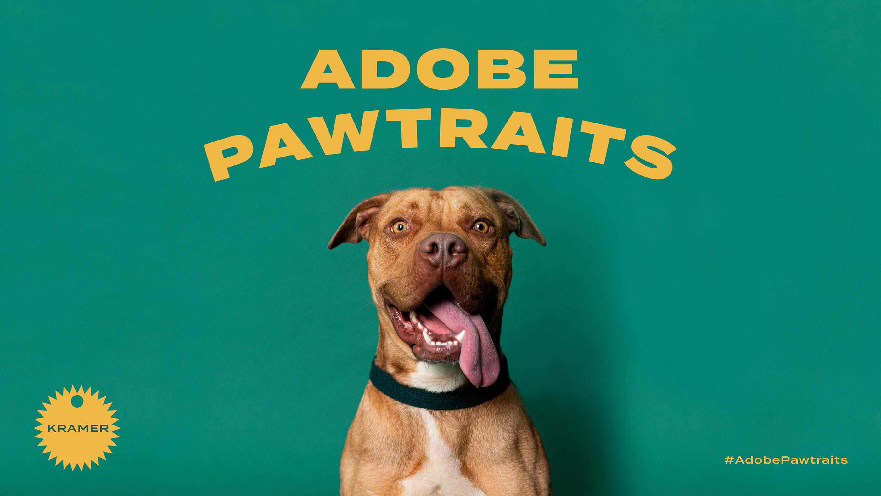 Adobe Pawtraits (14).jpg