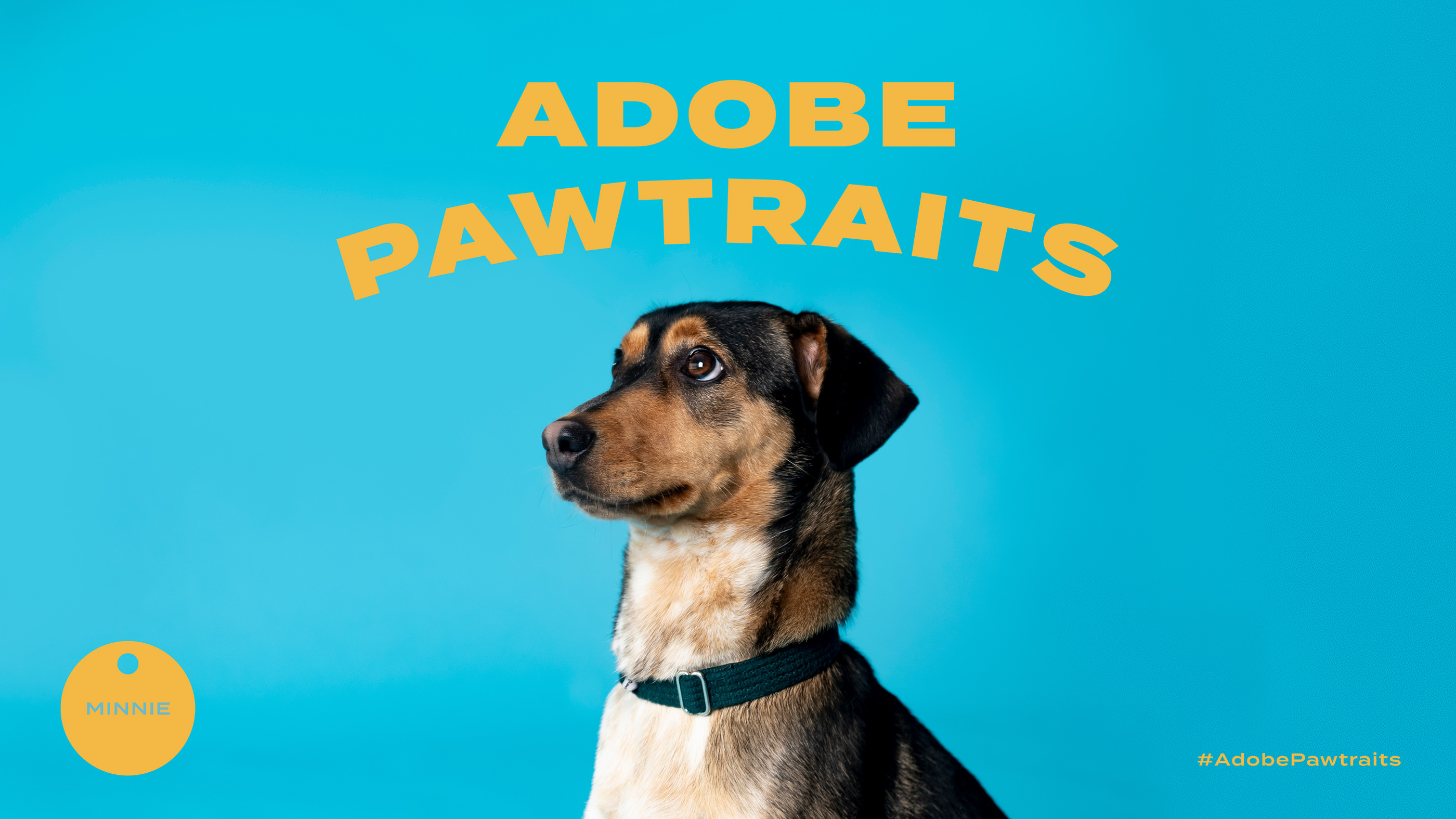 Adobe Pawtraits (16).jpg