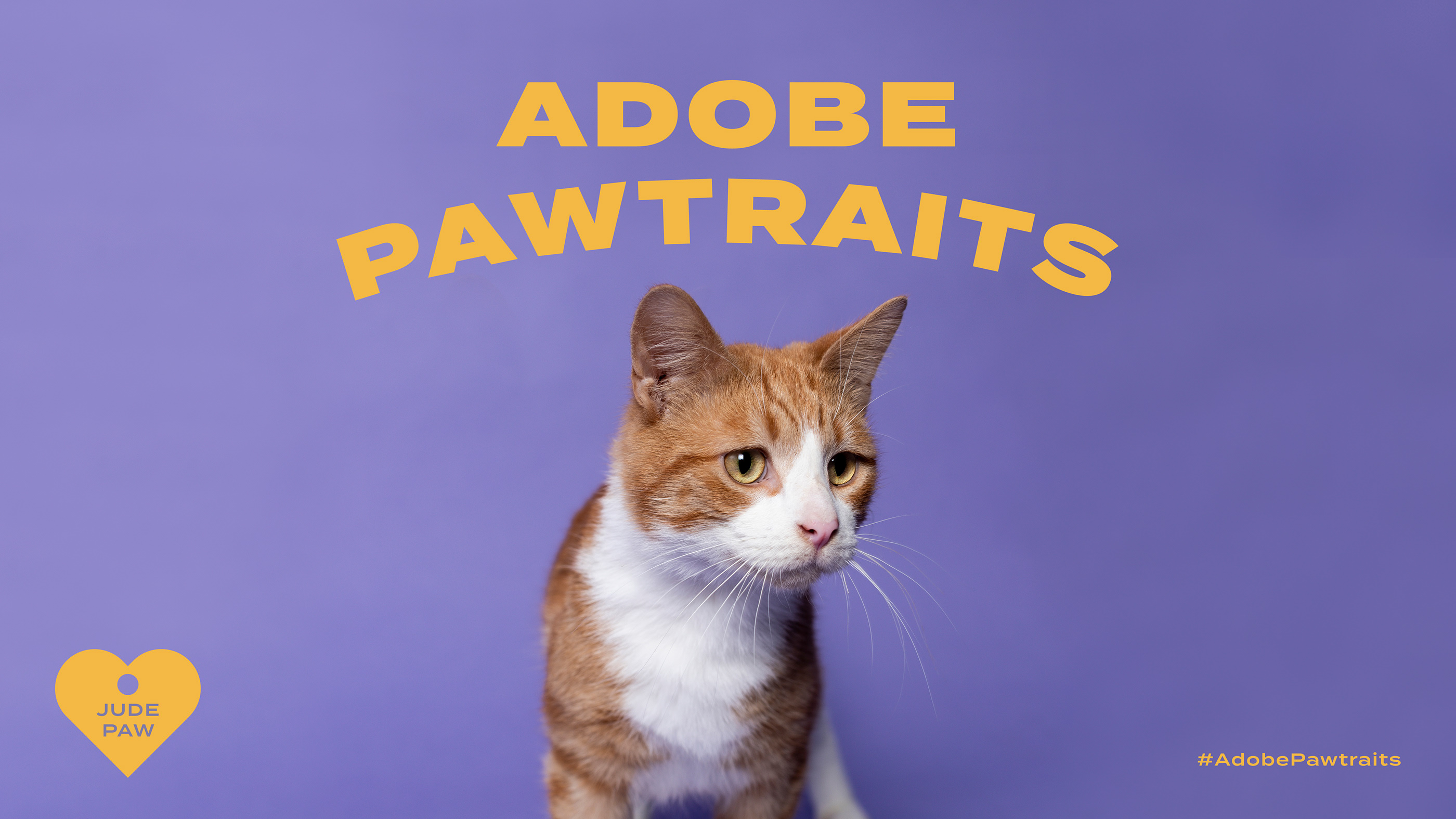 Adobe Pawtraits (19).jpg