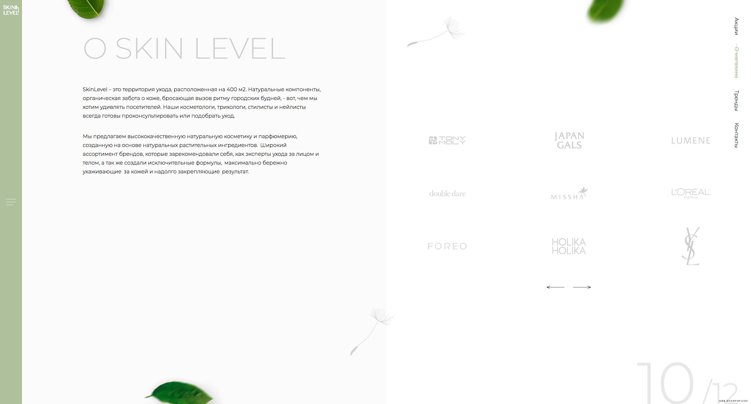 俄罗斯SkinLevel-护理化妆品！3.jpg