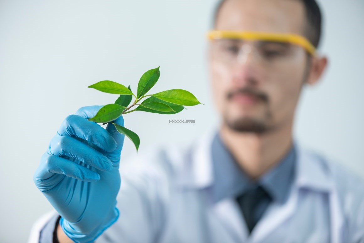 04680_一位医学工作者戴着蓝色的手套手里拿着一枚绿色的植物科学技术素材设计.jpg.jpg