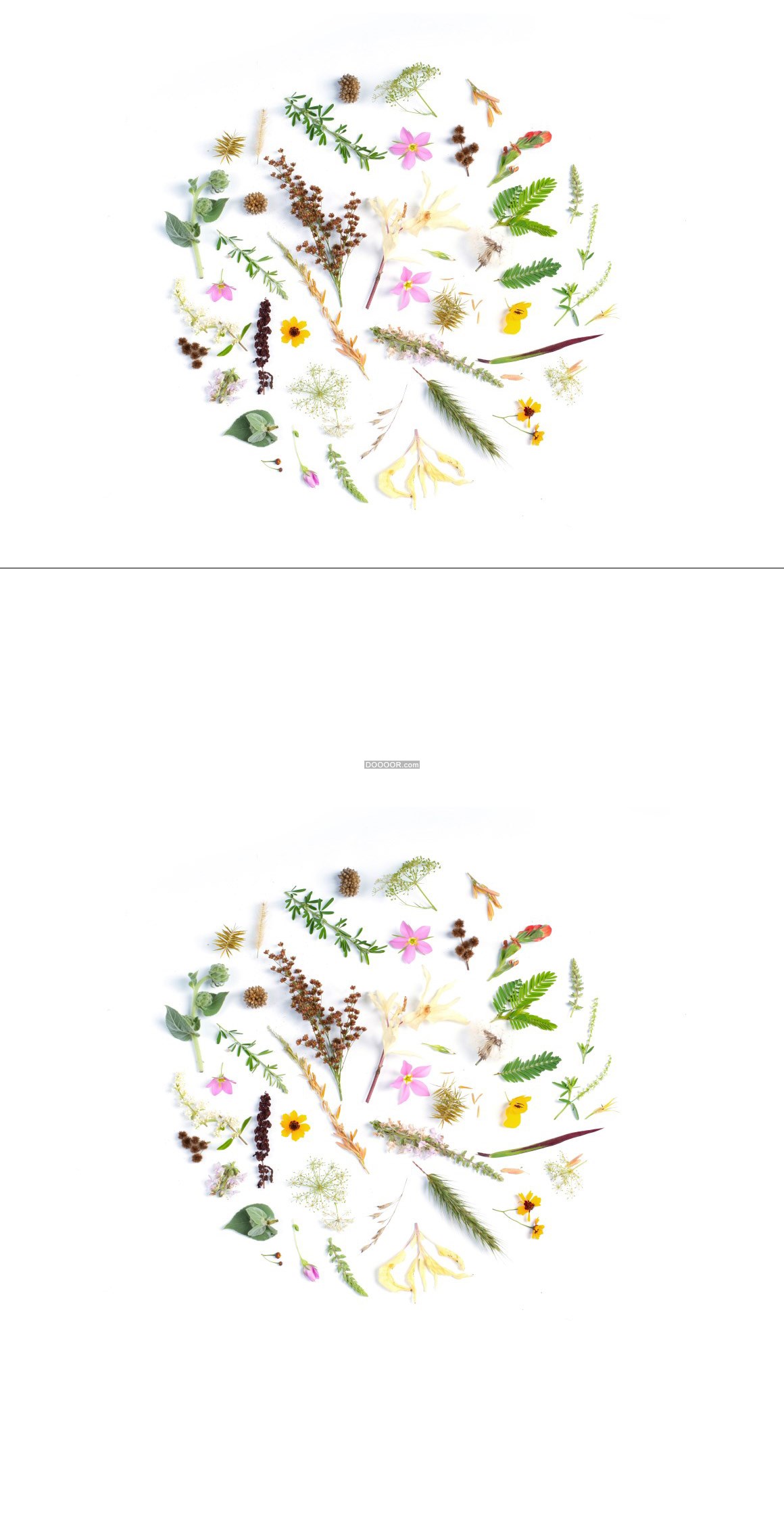 04886_不同品类的植物拼接成一个圆自然清新.jpg