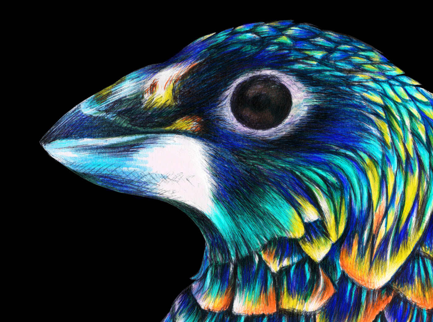 手绘插画-14.jpg