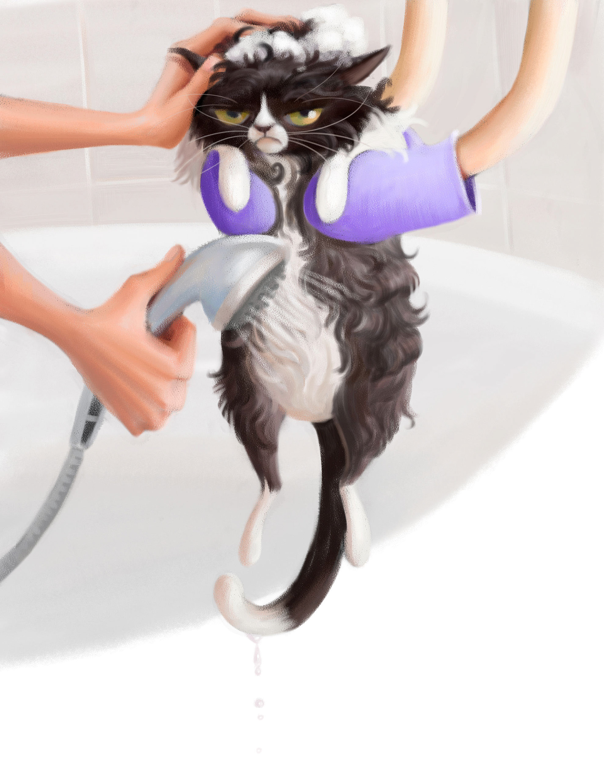可爱萌宠手绘插画-15.jpg