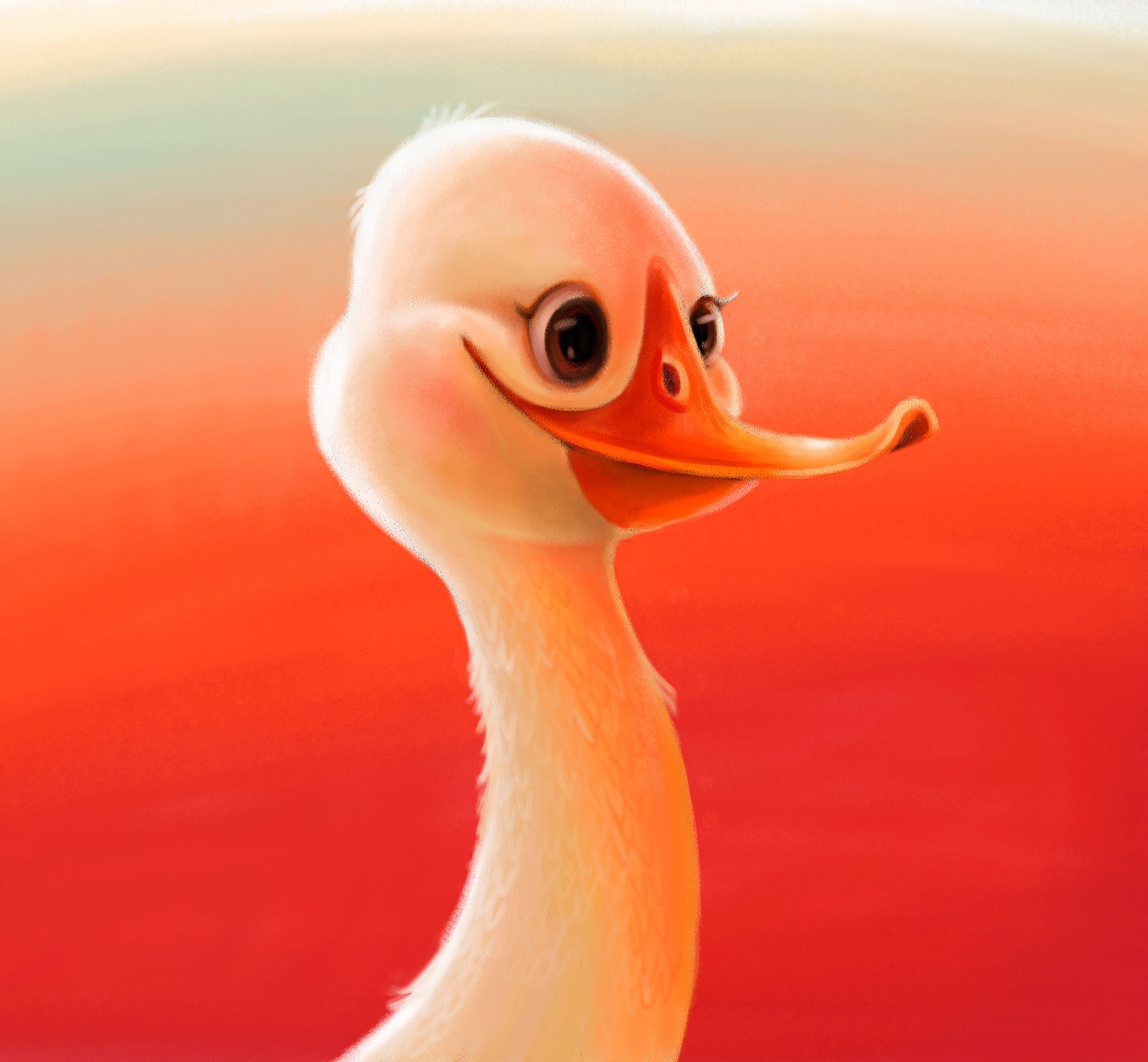 Behance  搜索.jpg