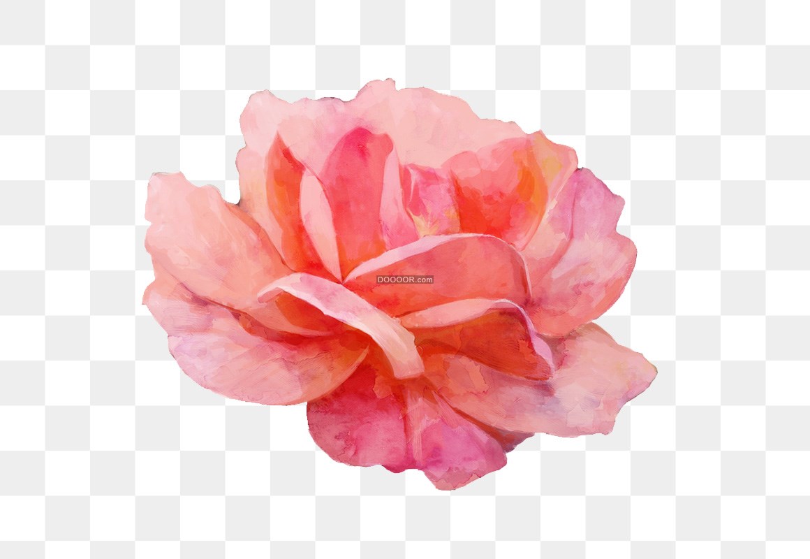 00629_简洁水彩画淡粉色的玫瑰高清PNG素材.jpg