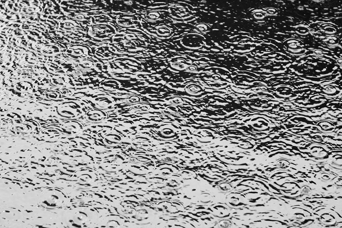 04974_雨季雨水滴落在水面上激起一圈圈涟漪.jpg