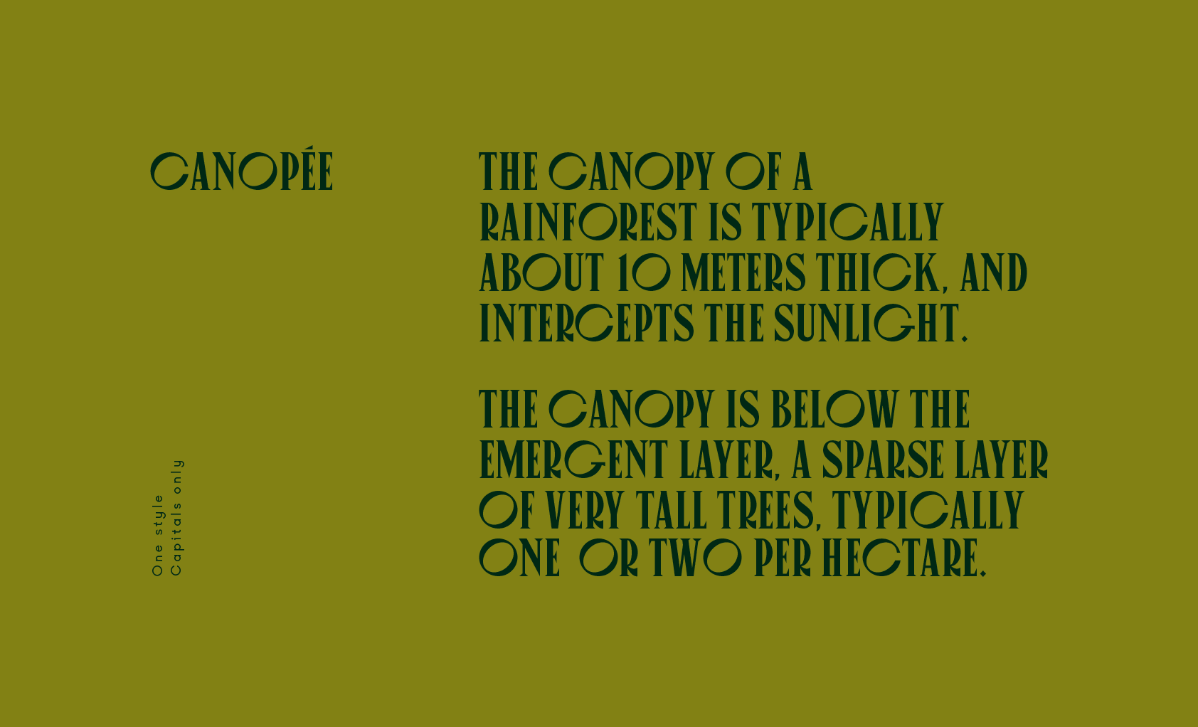 Canopée Typeface19.png