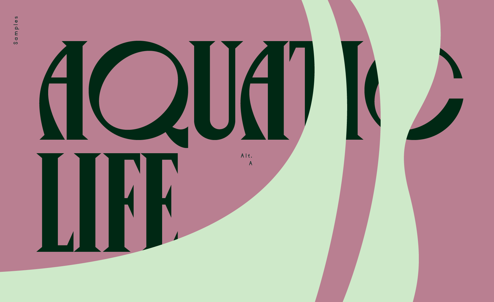 Canopée Typeface14.png