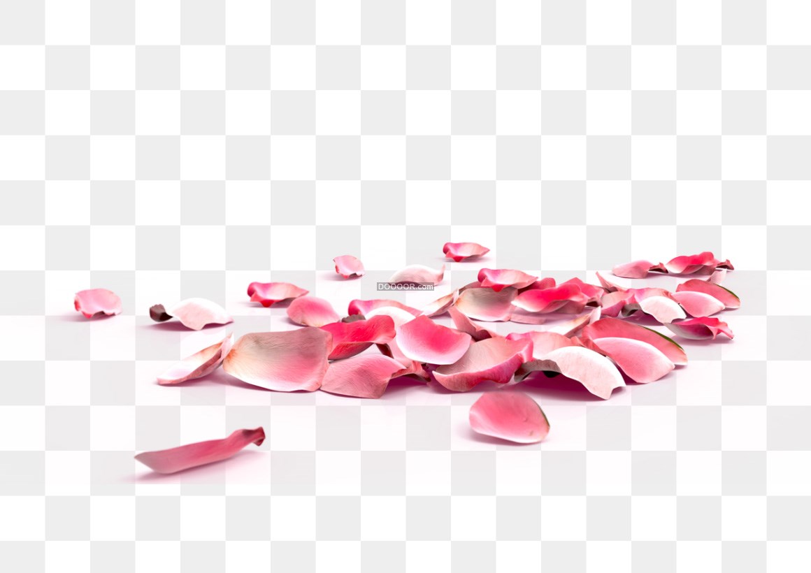 01127_粉色的花瓣飘落在地上薄薄的一层高清PNG素材.jpg