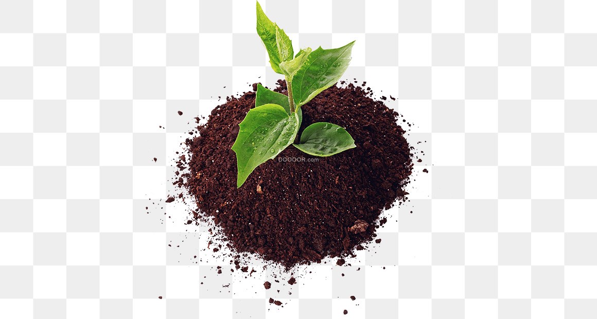 01192_褐色的土壤生长着一株绿色的植物高清PNG素材.jpg