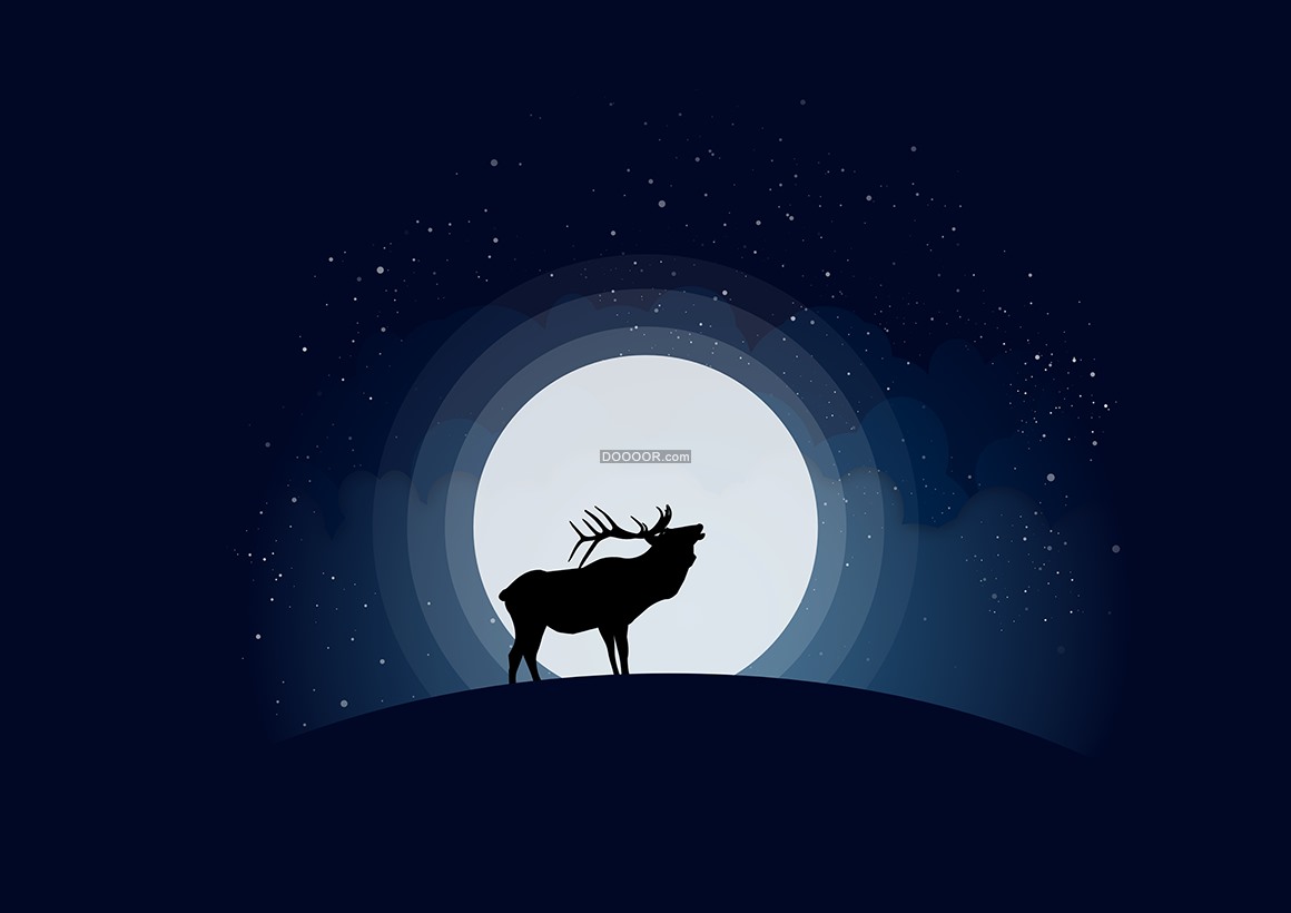 梦幻星空鹿圣诞麋鹿|摄影|动物|尚微券小编 - 原创作品 - 站酷 (ZCOOL)