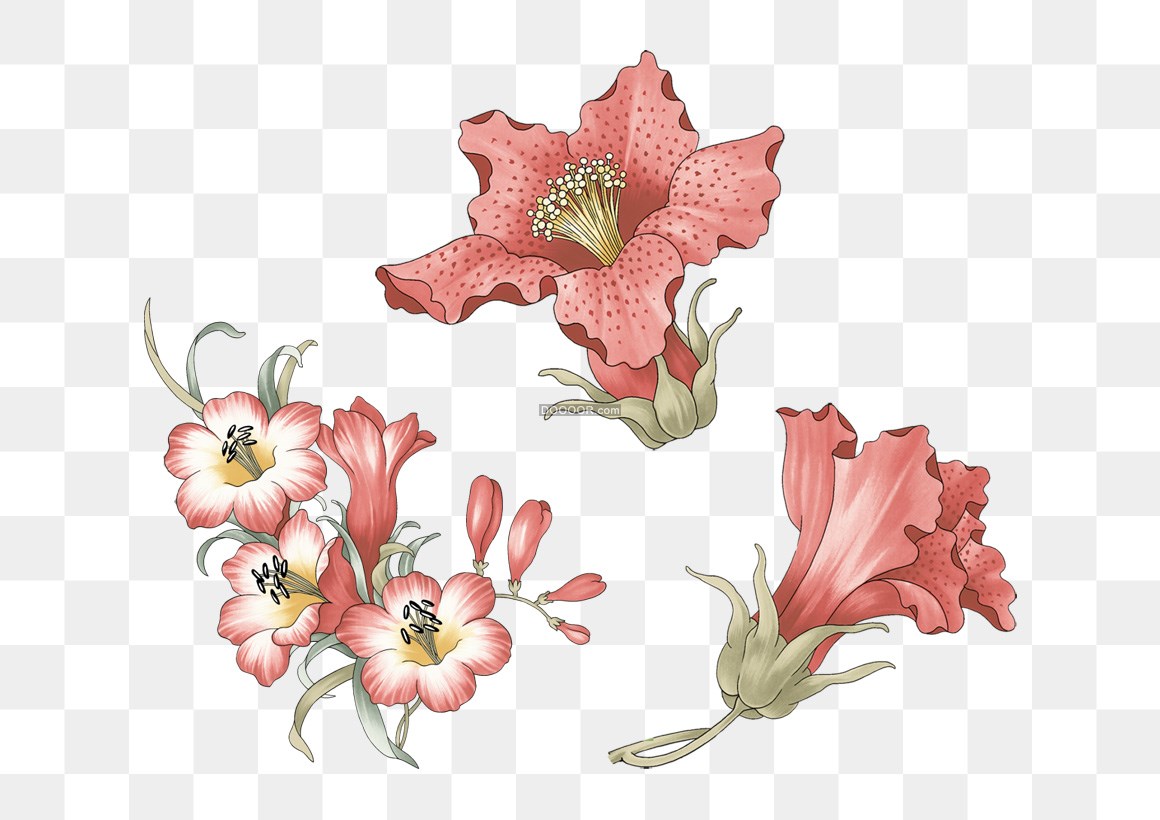 01350_几朵粉色的花瓣交相呼应清新美丽免抠PNG素材.jpg