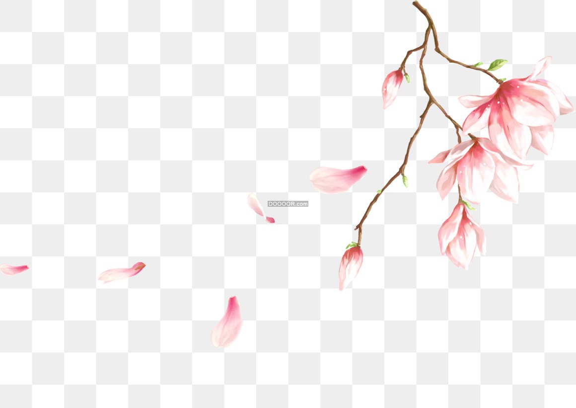 01352_几朵淡粉色的桃花飘落意境优美免抠PNG素材.jpg