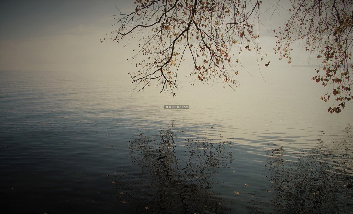 05071_浅秋时节平静的桌面倒映着树木的影子自然风景素材设计.jpg