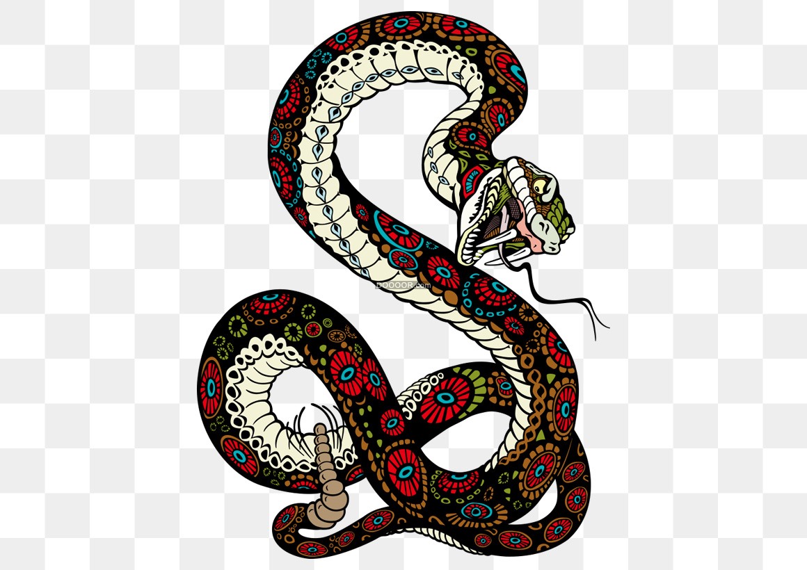 NIKKE毒蛇cos-绝区零社区-米游社