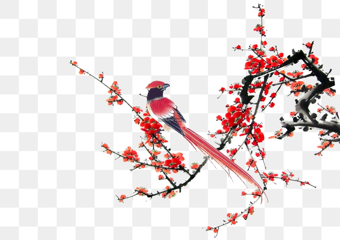 一只红色的鸟儿站在盛开的梅花枝头透明png素材 免抠png素材 手机版 Powered By Discuz