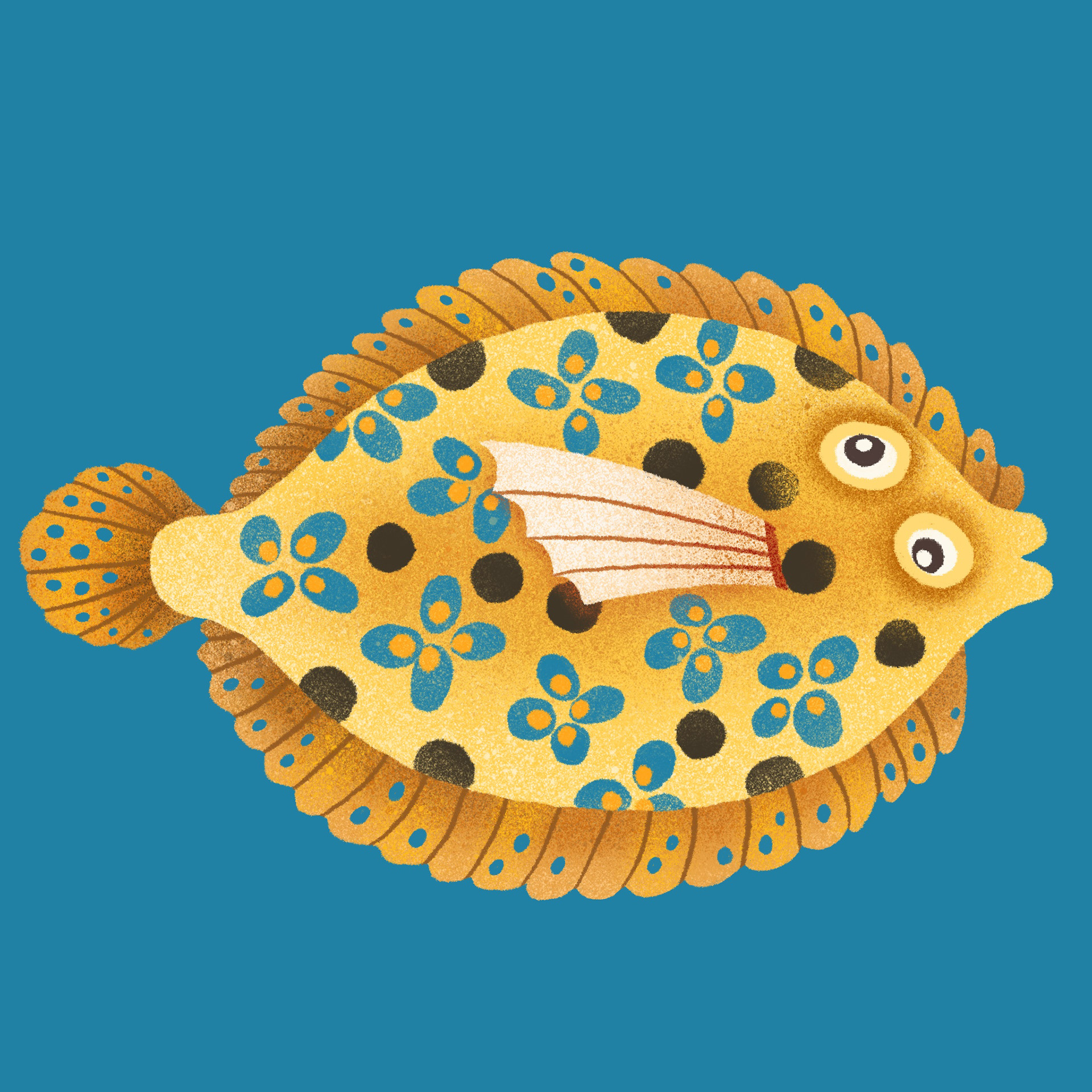 海洋生物2.jpg