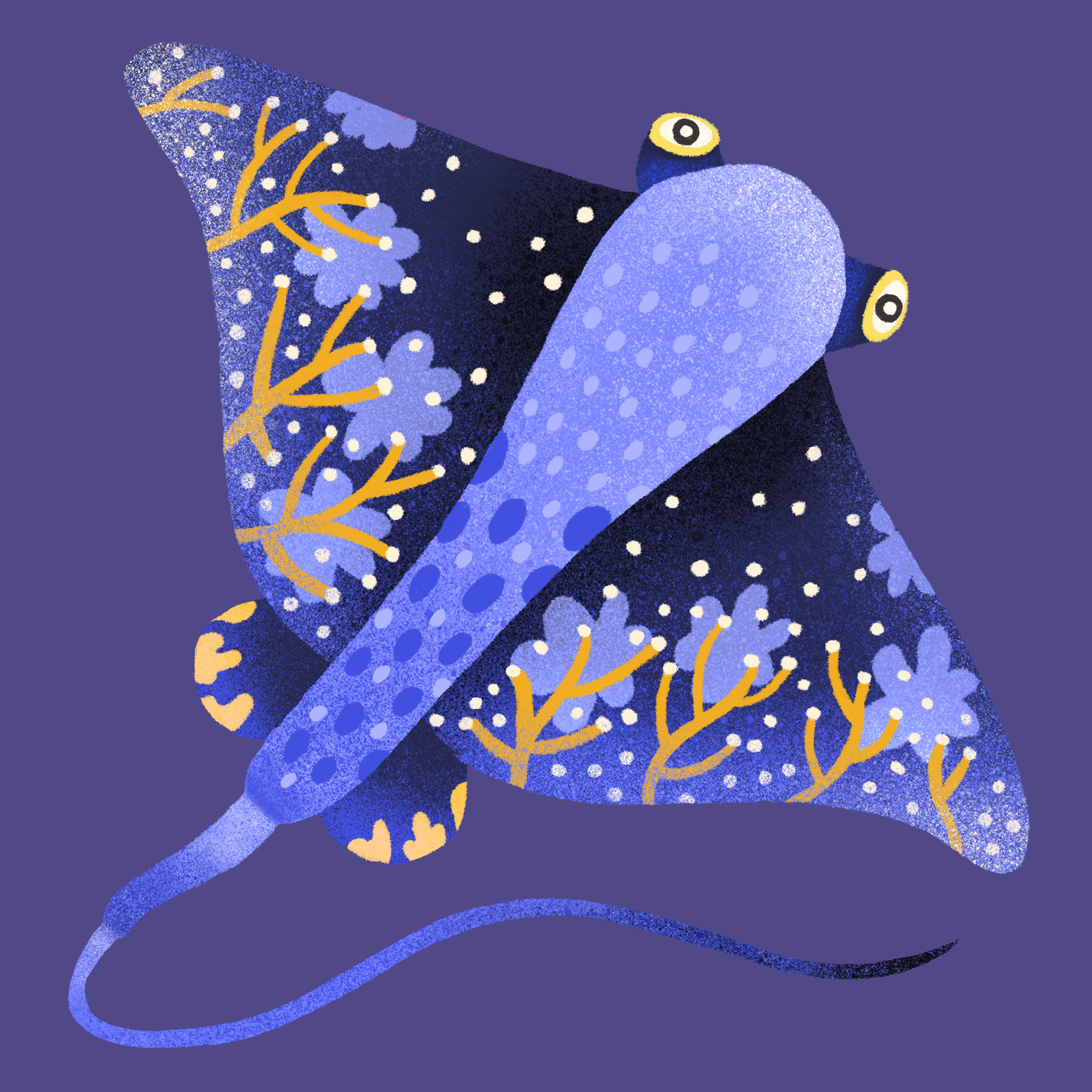 海洋生物7.jpg
