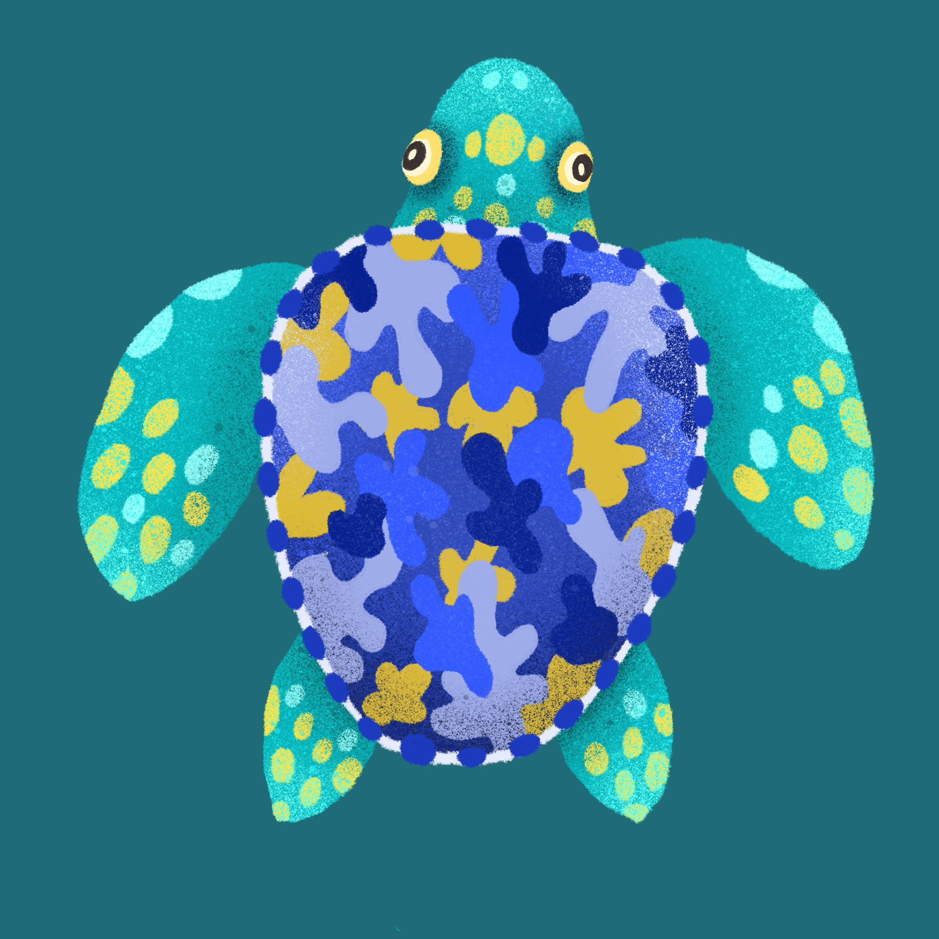 海洋生物9.jpg