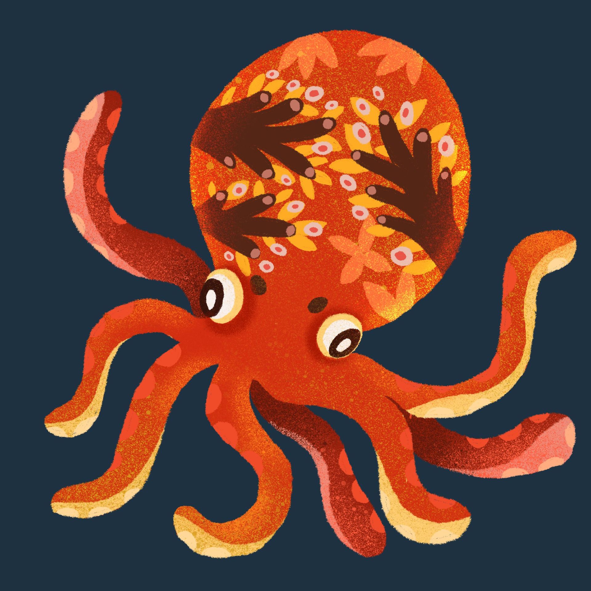 海洋生物10.jpg
