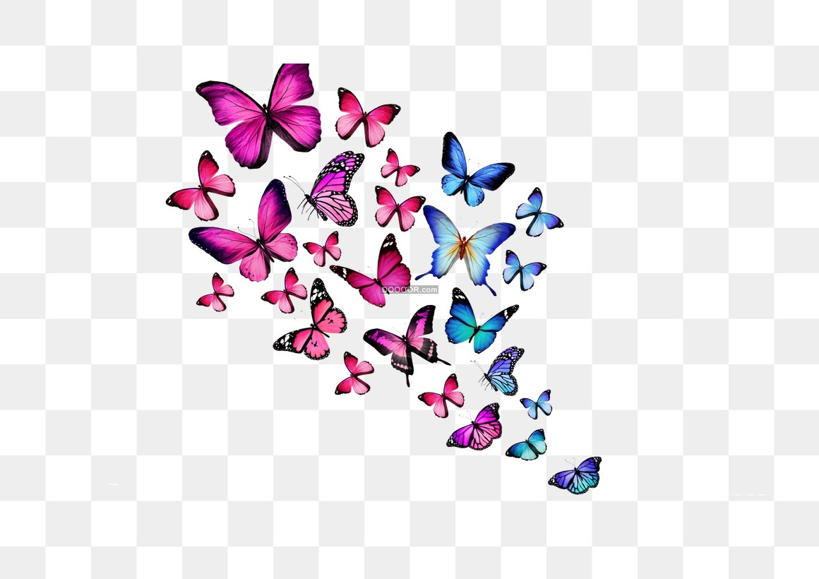 01720_蓝色粉色的蝴蝶翩翩起舞透明PNG素材.jpg