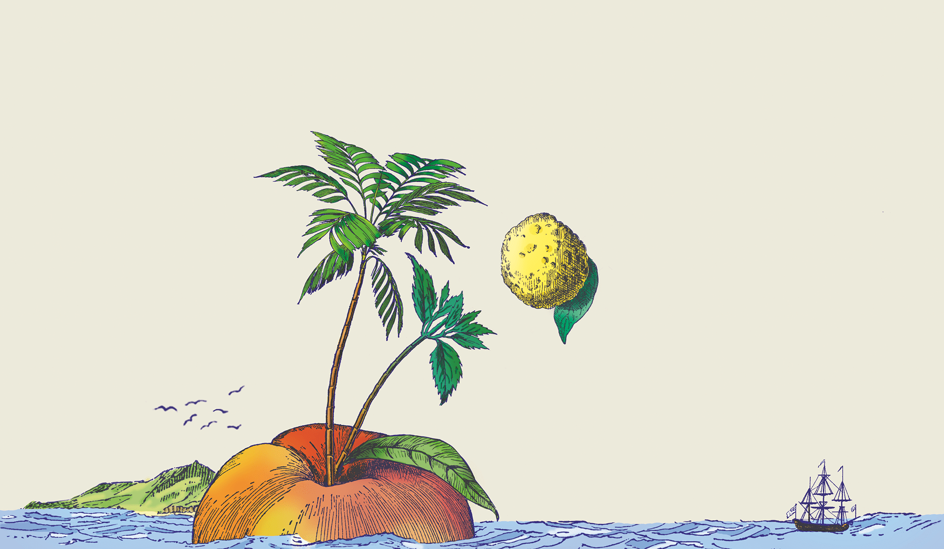 高级有机饮料包装3.png